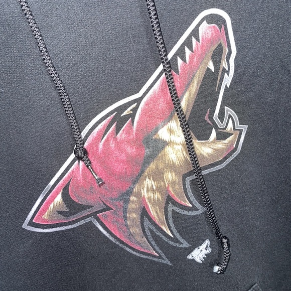 Arizona Coyotes NFL Hoodie - size M - Picture 2 of 4